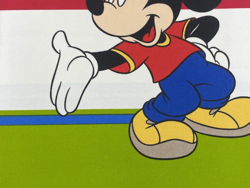 Copriletto estivo Topolino
