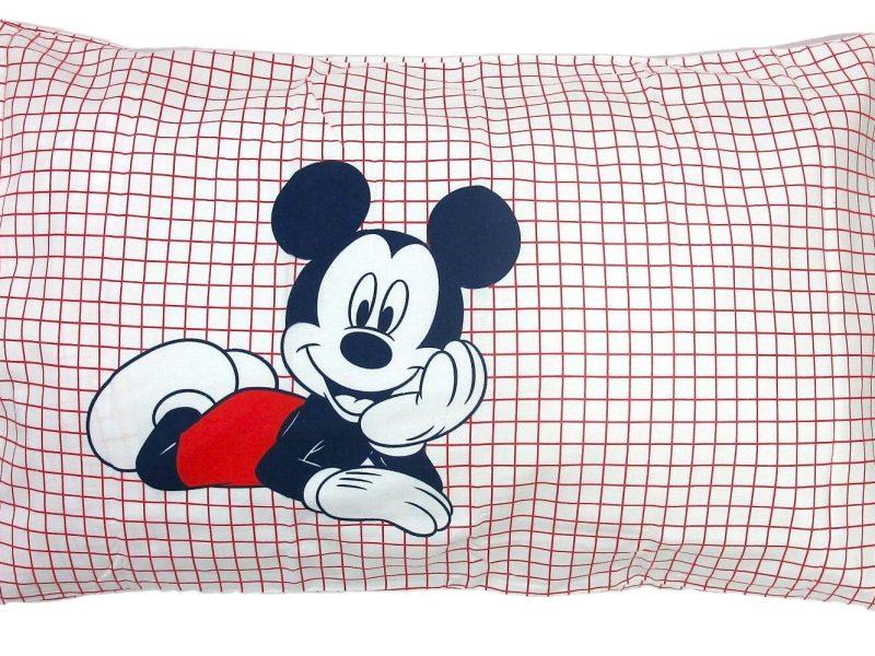 Completo Flanella Topolino