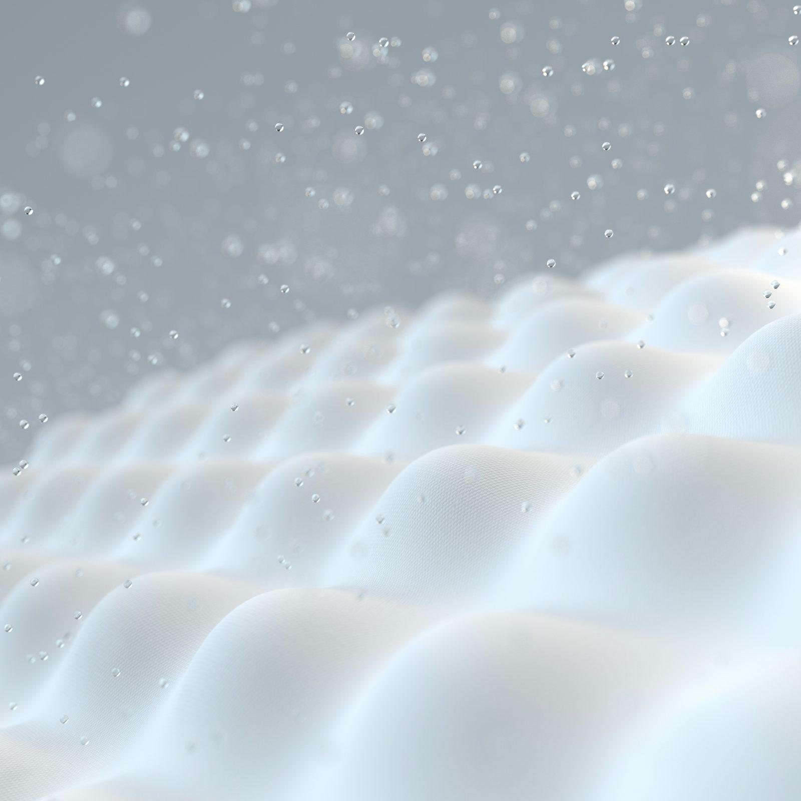 d-koi-W1rK4mBImv4-unsplash